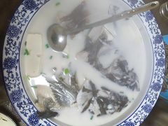-全乐鱼馆·淳牌有机鱼直营店