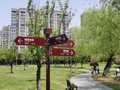 -洋湖国家湿地公园