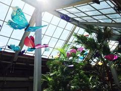 -红栌温泉山庄生态美食餐厅