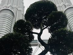 -吉隆坡国油双峰塔