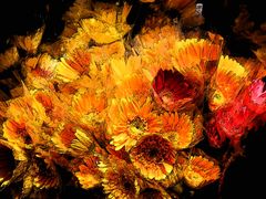 -循礼门鲜花花市(武汉循礼门店)