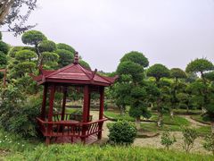 -武汉紫薇都市田园