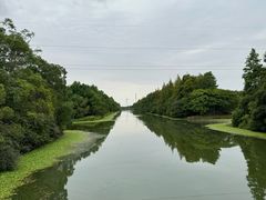 -上海海湾国家森林公园