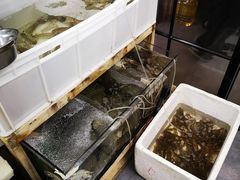 -阿杰臻选海鲜饭店(普陀山店)
