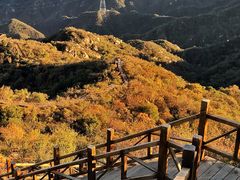 -大岭沟猕猴桃谷风景区
