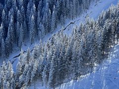 -丝绸之路山地度假区滑雪场