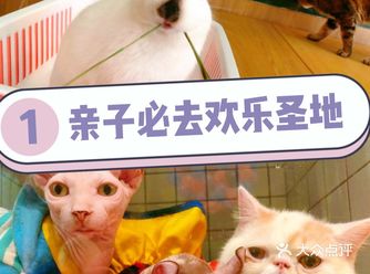 遛娃好去处沐溪小屋宠物主题咖啡亲子乐园