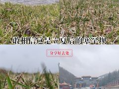 -塞罕坝国家级自然保护区