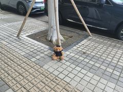 -上海中医药大学-食堂