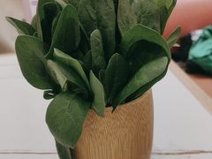 -第六季自助餐厅(王府井店)