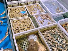 -金成潮菜博物馆(海珠湿地店)