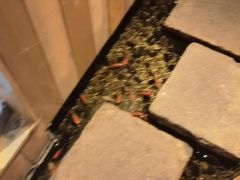 -邈墨茶馆(凤起路店)