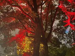 -城市阳台