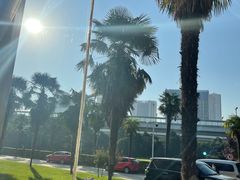 -西安交大南洋大酒店(交通大学青龙寺店)