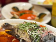 新派葱香蒸海鱼-冠发君悦大酒店-餐厅