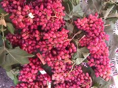 -三旗百汇商品城