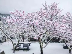 -黑龙潭公园