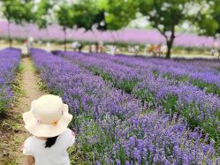 -季高兔窝窝亲子园(上海薰衣草公园店)