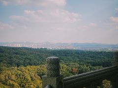 -灵谷景区