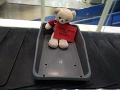 -丽江三义国际机场