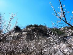 -北京凤凰岭