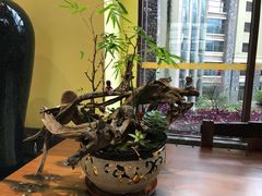 -韶关经律论国际酒店温泉