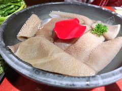空运脆毛肚-谭鸭血老火锅(龙湖宝山天街店)
