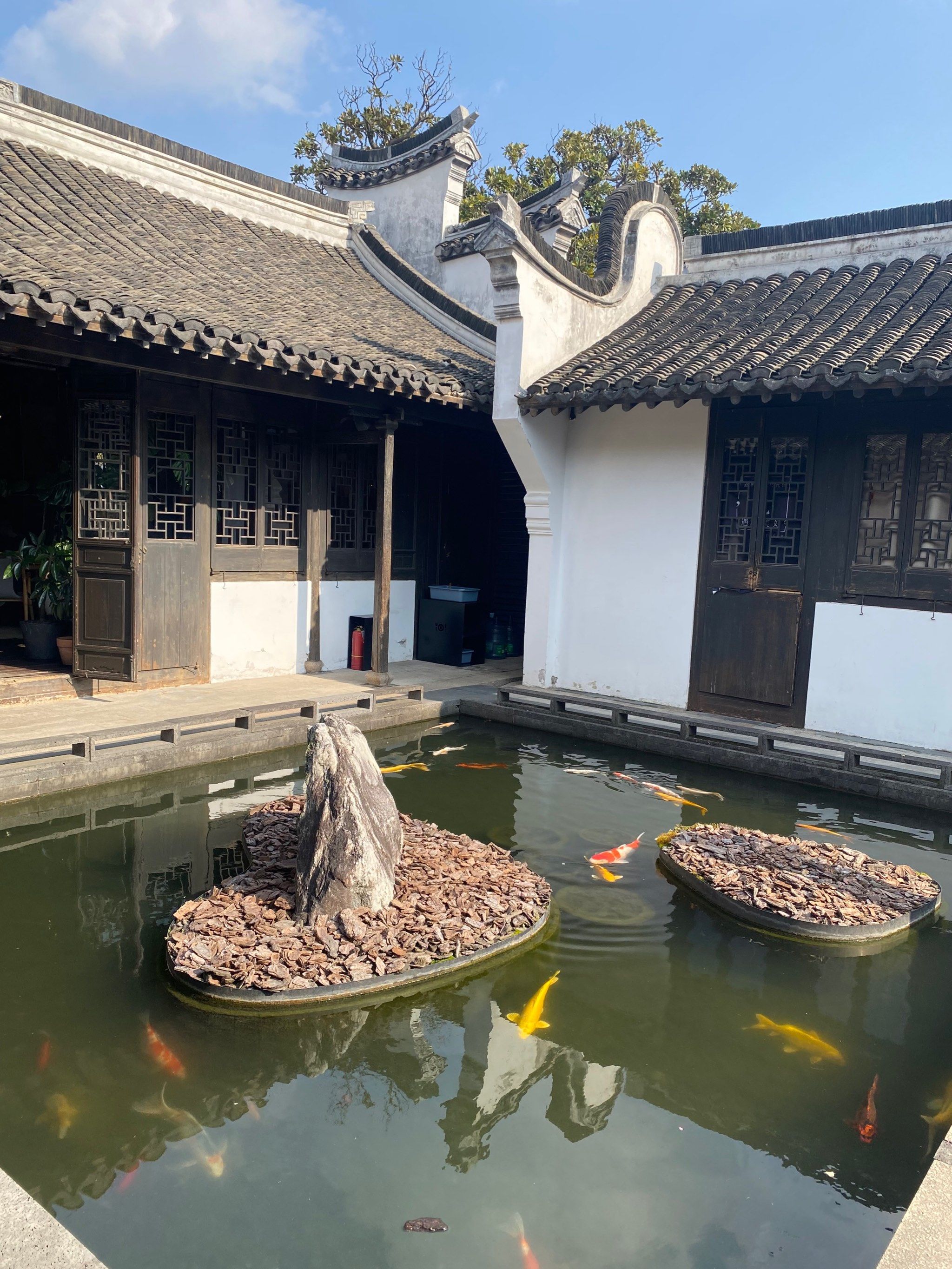 跟姐姐一起来享受3月8号的节日,喝喝咖啡,聊聊天,发发呆