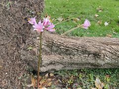 -东华大学第一食堂(松江校区店)