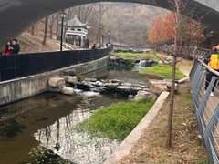 -白水寺森林公园