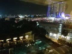 -新加坡文华东方酒店