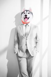 -THE QUEEN(北京店)