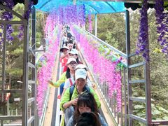-浏阳石牛寨风景区