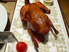 -大鸽饭(岗顶店)