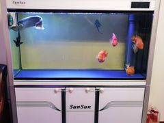 -静雅养生会所(保利·叶公馆店)