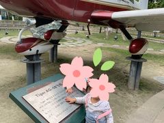 -成飞公园