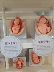 -济南艾玛妇产医院