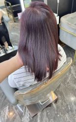 点击看大图 -藤野造型