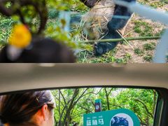 -济南野生动物世界