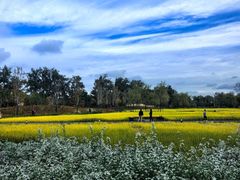 -长白岛森林公园