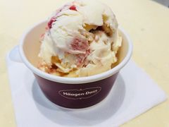 -哈根达斯(石家庄北国店)