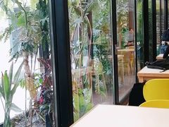 -Soloist 独奏公司(798店)