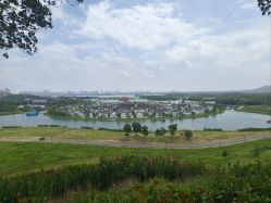 -龙子湖迎宾馆·宴会