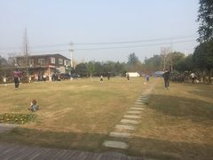 -洪湖家庭农场·团建·露营·会议