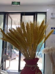 -上海漾颜医疗美容