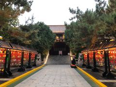 -青岛方特梦幻王国