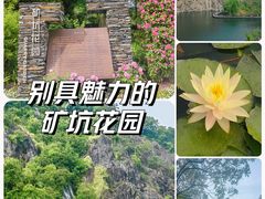 -上海辰山植物园