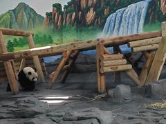 -秦皇岛野生动物园