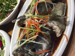 -必点海鲜·鲅鱼水饺(鞍山西道店)