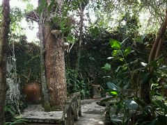 -疯狂屋